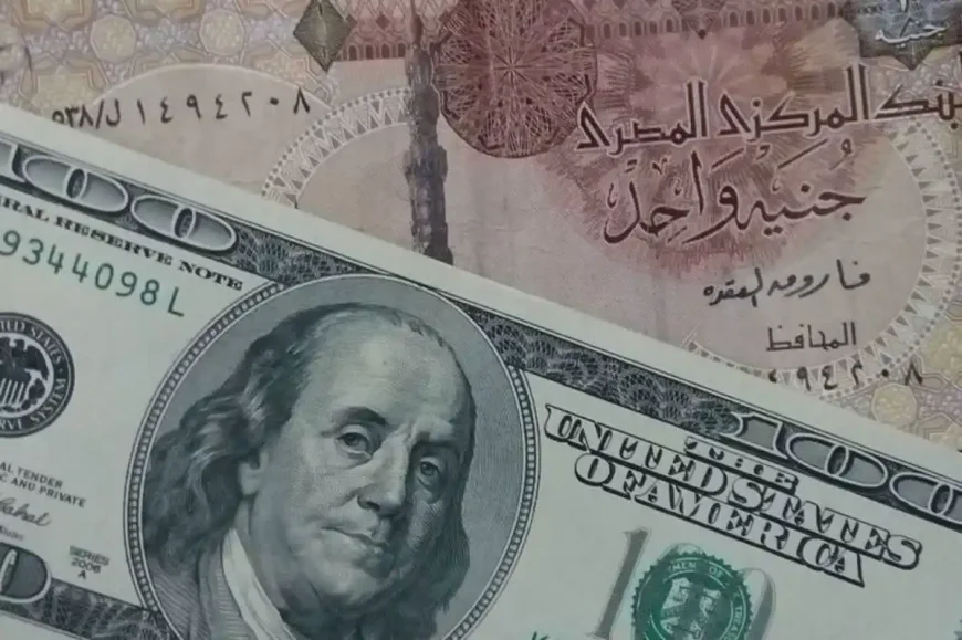 أسعار الدولار في مصر تسجل 51.99 جنيهًا للبيع في مصرف أبوظبي الإسلامي